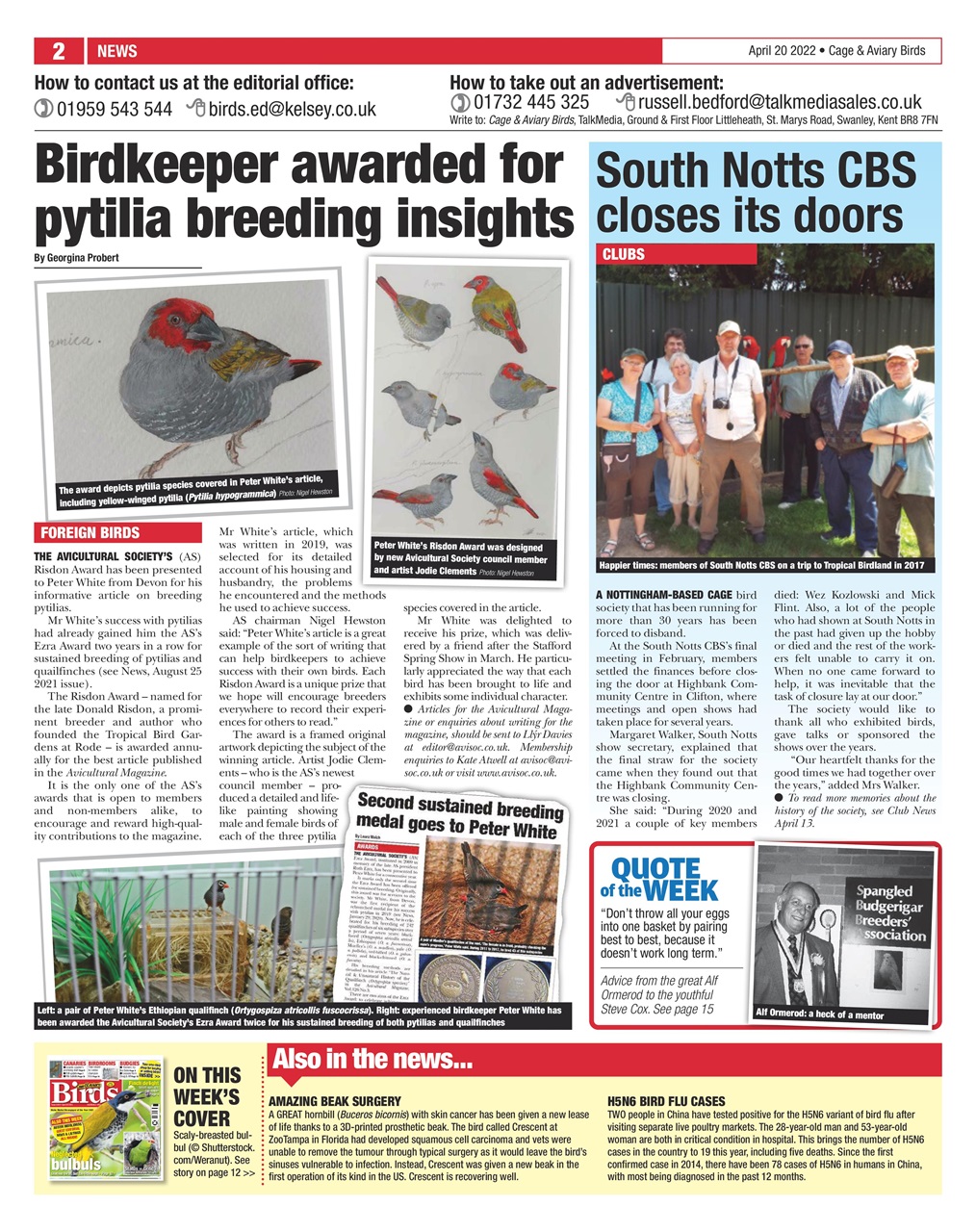 Cage & Aviary Birds Preview Pages