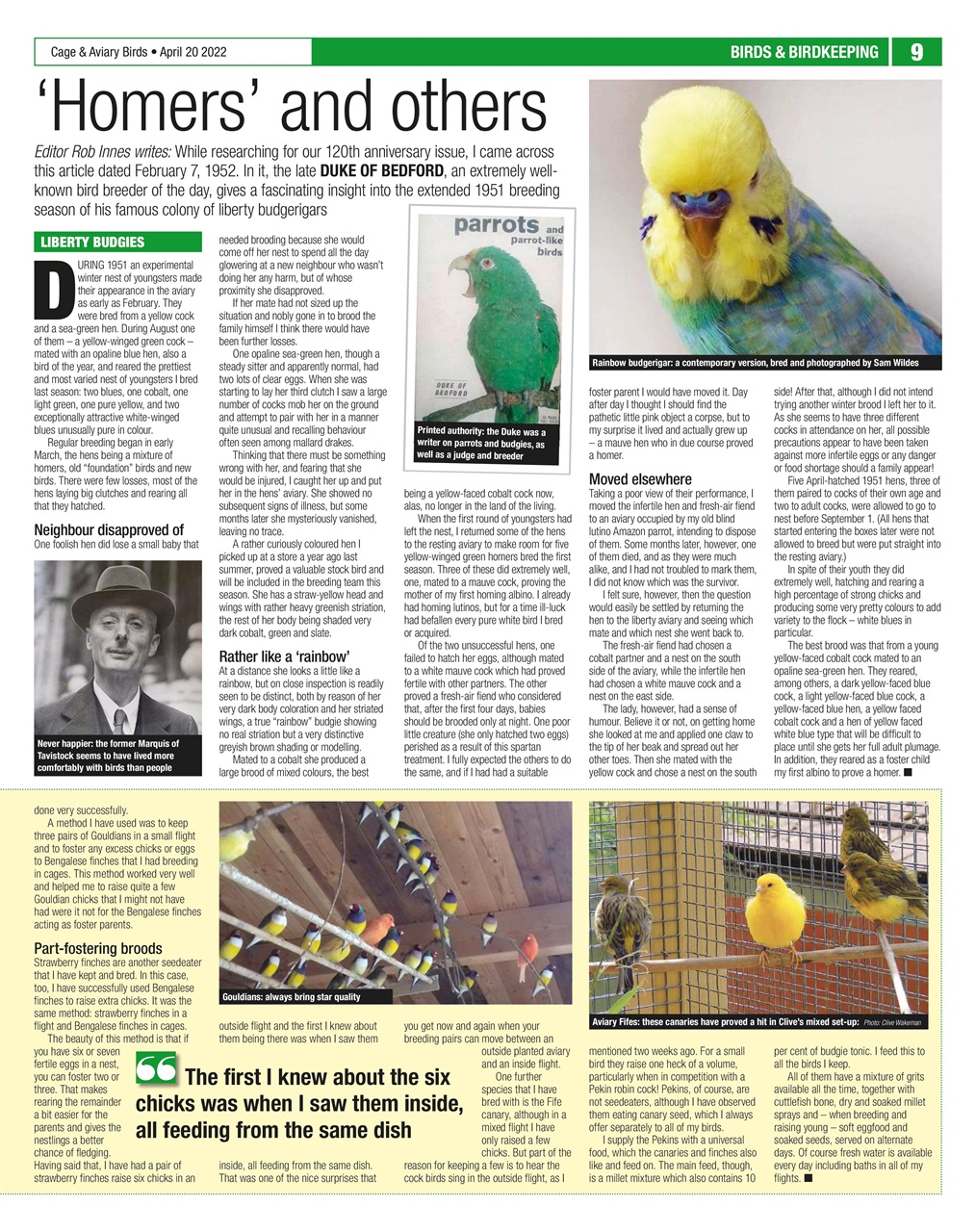 Cage & Aviary Birds Preview Pages