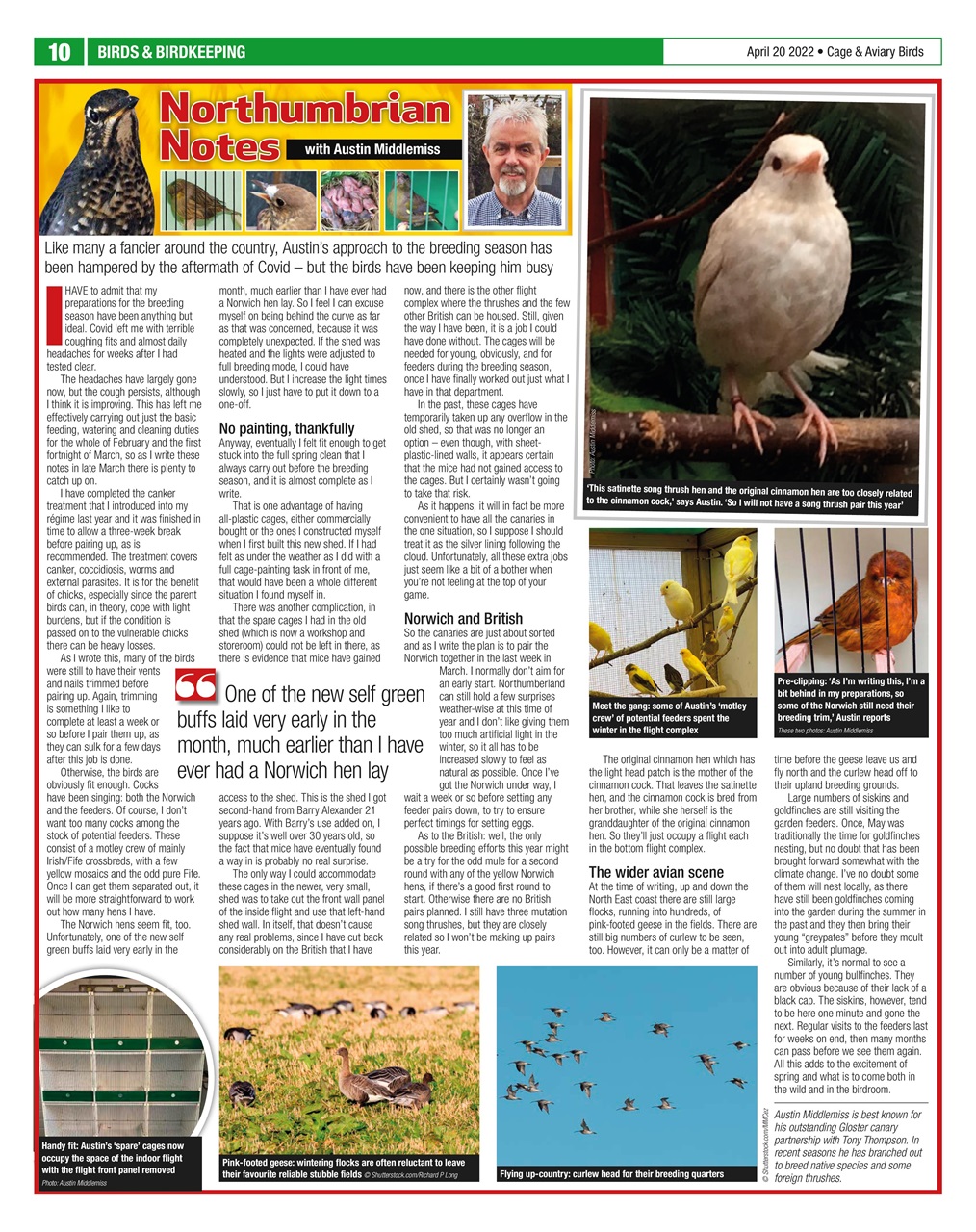 Cage & Aviary Birds Preview Pages