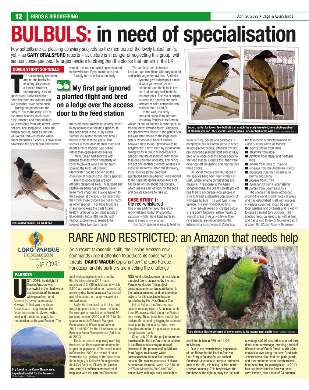 Cage & Aviary Birds Preview Pages