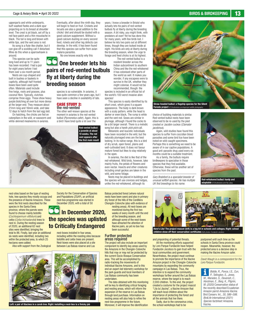 Cage & Aviary Birds Preview Pages