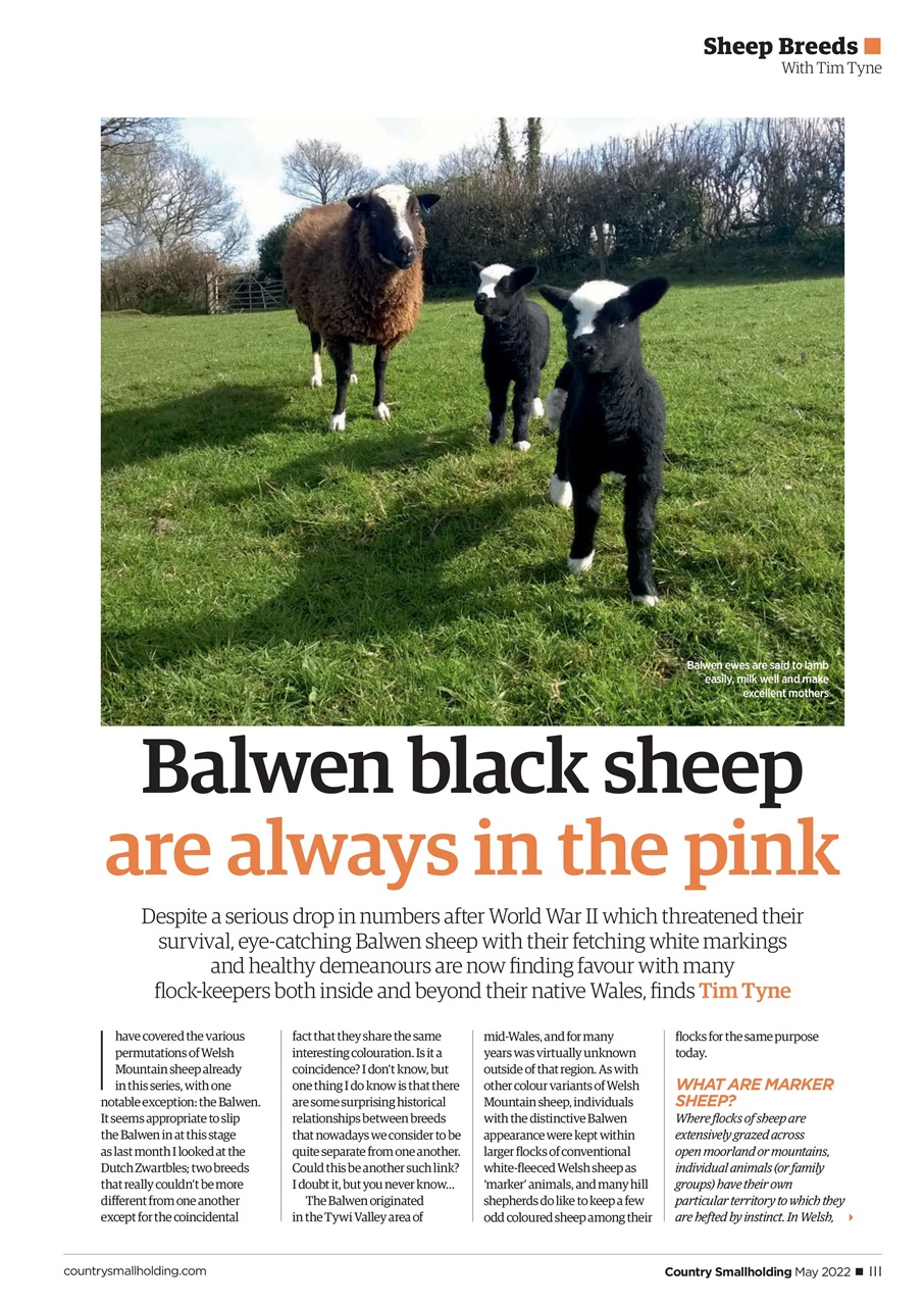 The Country Smallholder Preview Pages