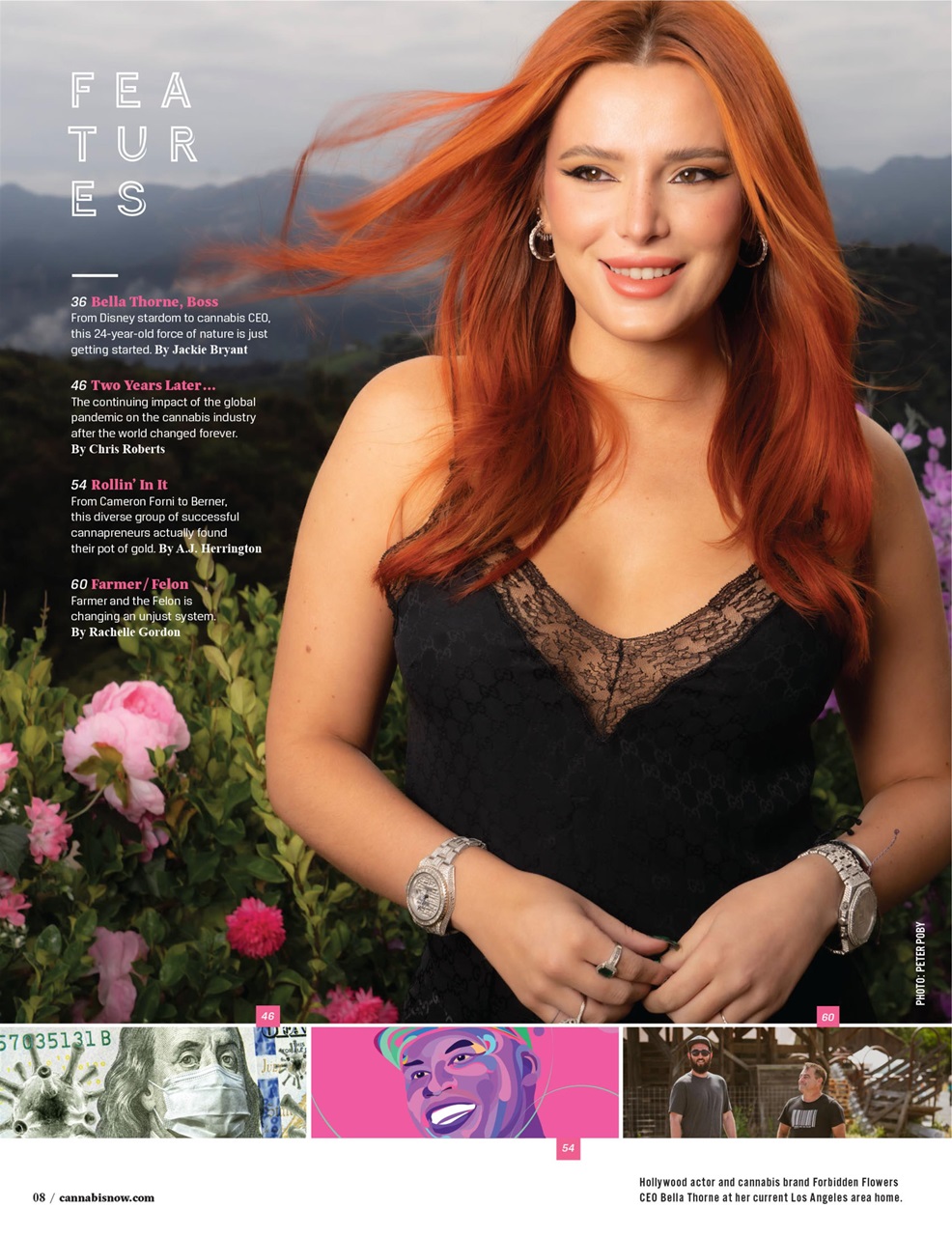 Cannabis Now Preview Pages