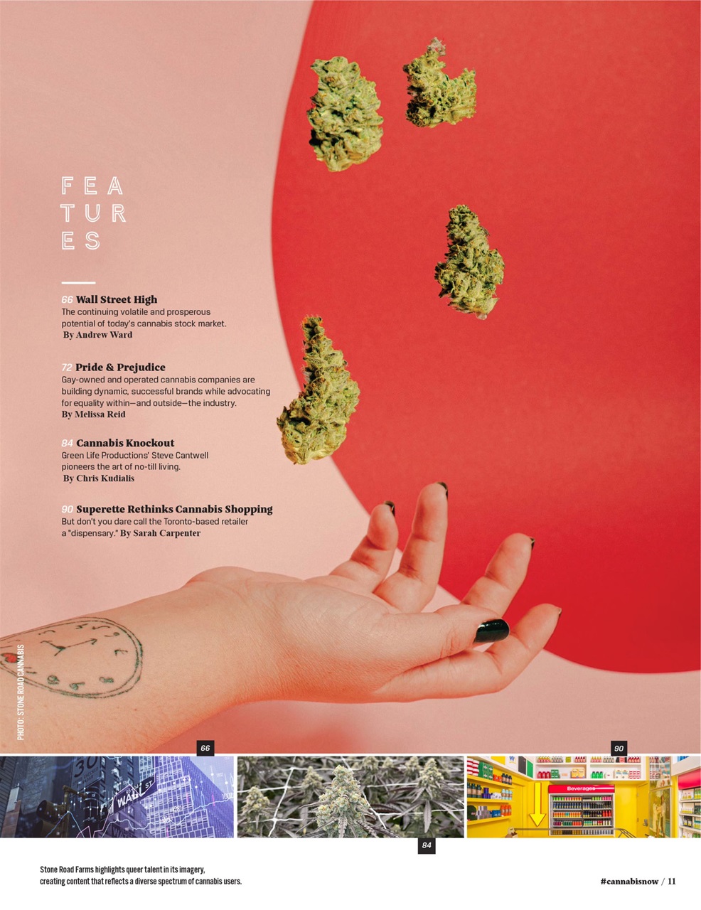 Cannabis Now Preview Pages