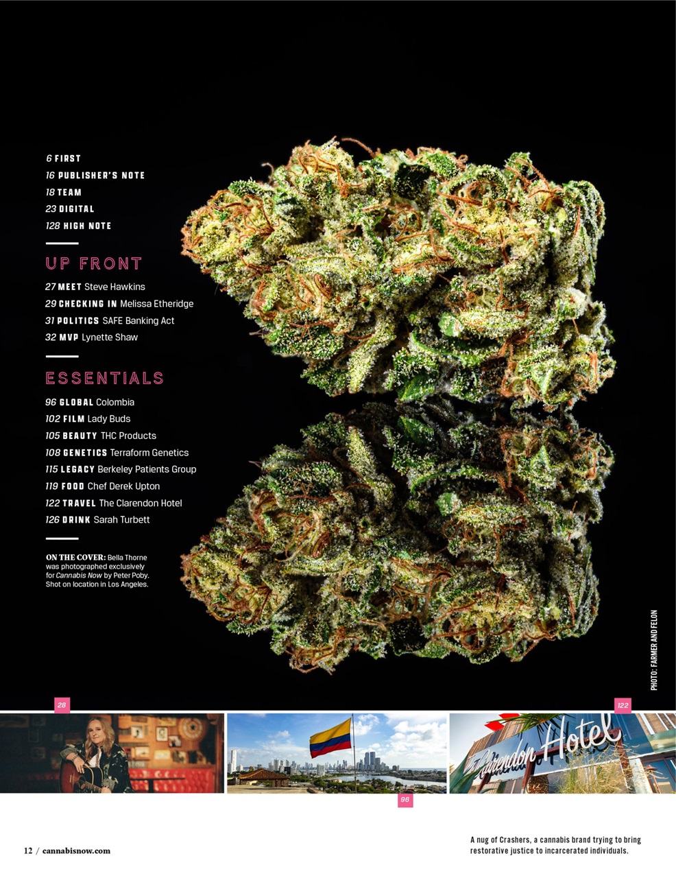 Cannabis Now Preview Pages