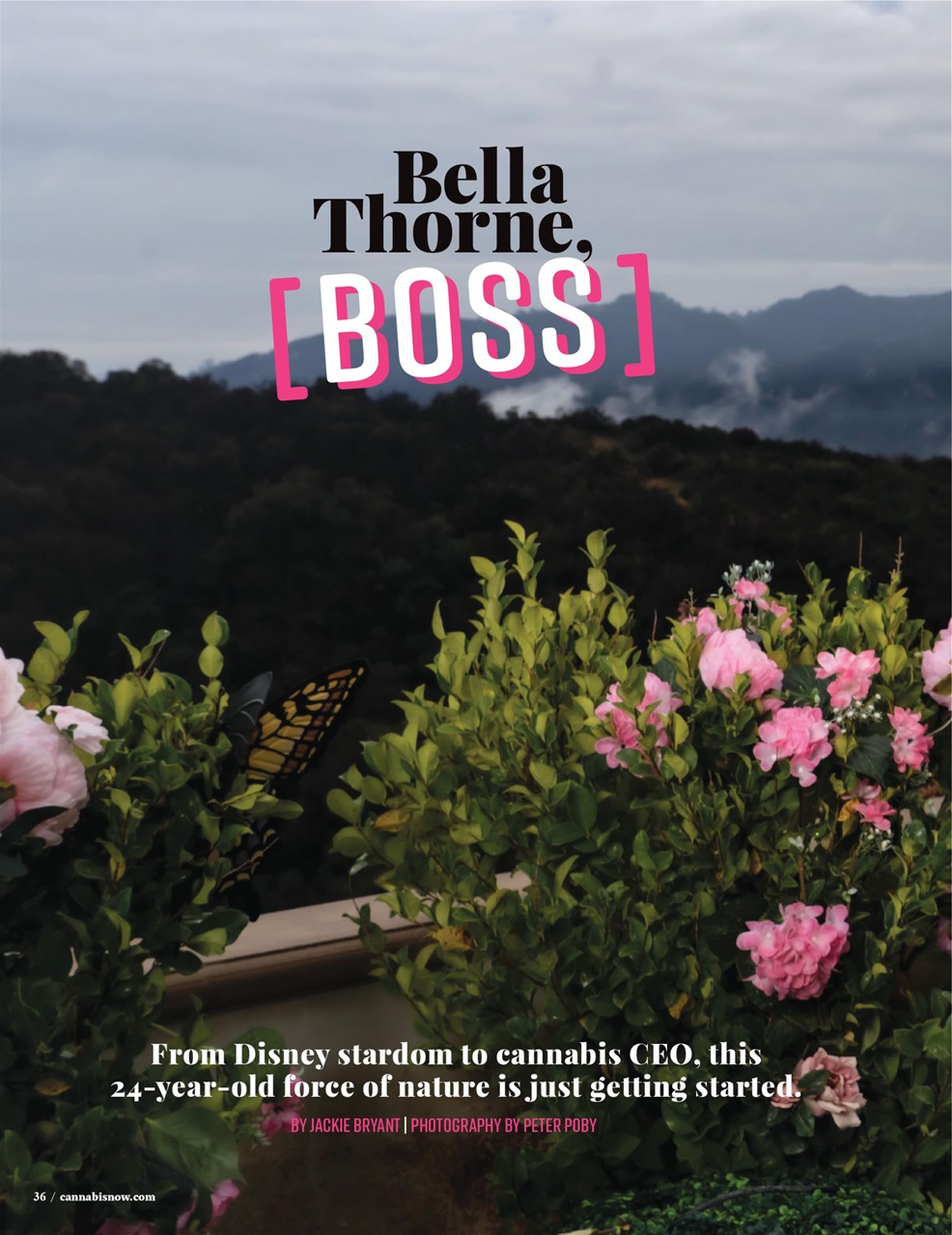 Cannabis Now Preview Pages