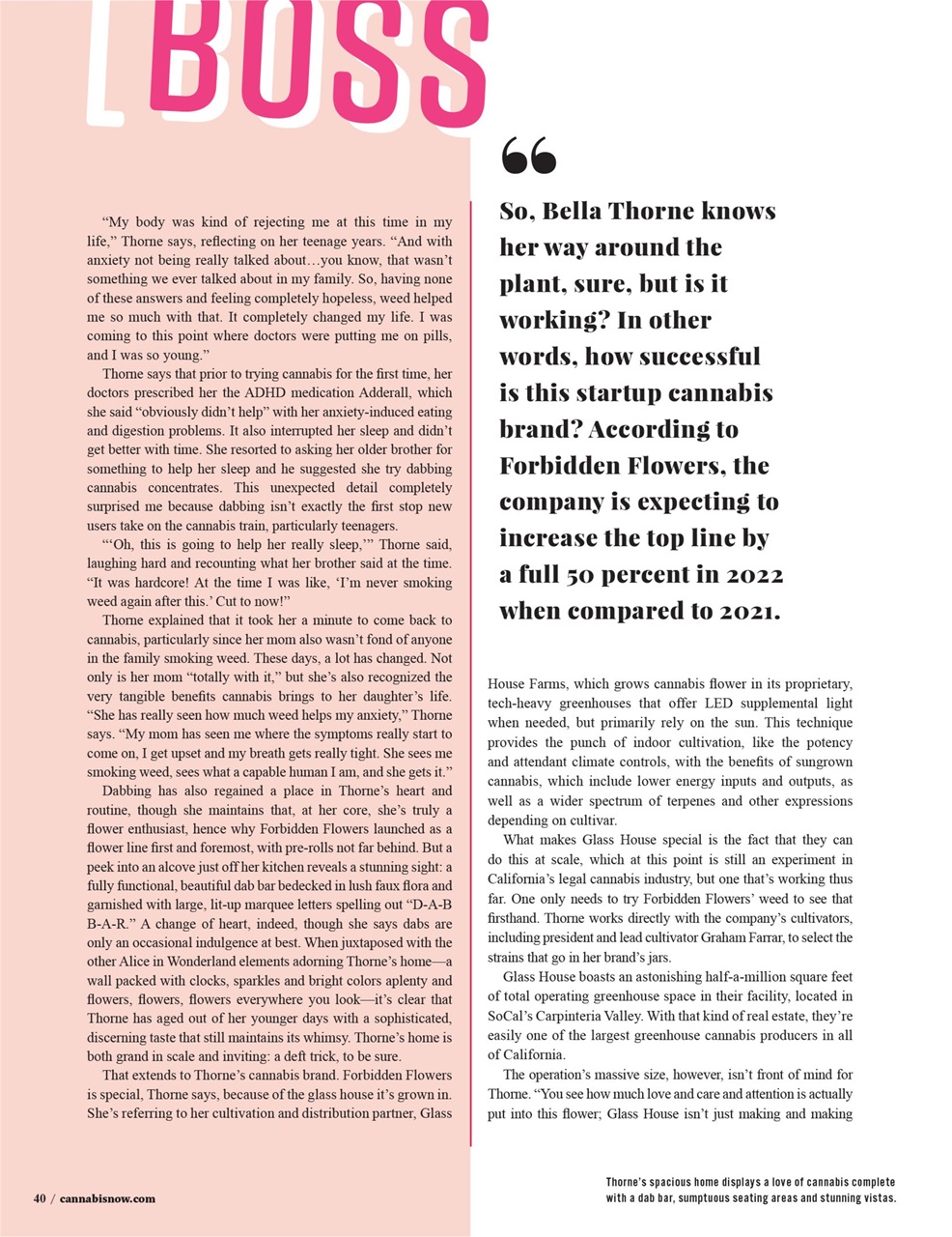 Cannabis Now Preview Pages