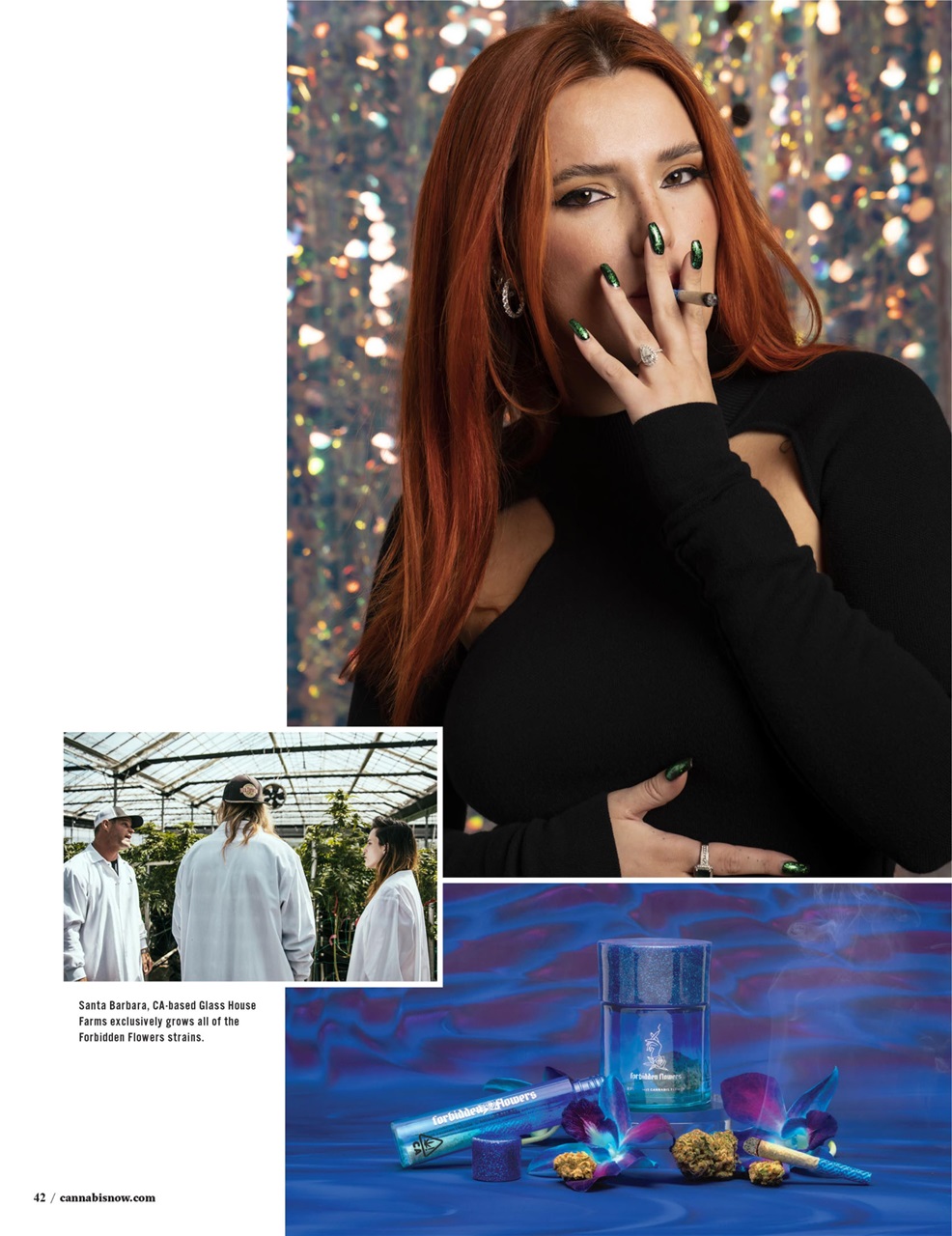 Cannabis Now Preview Pages