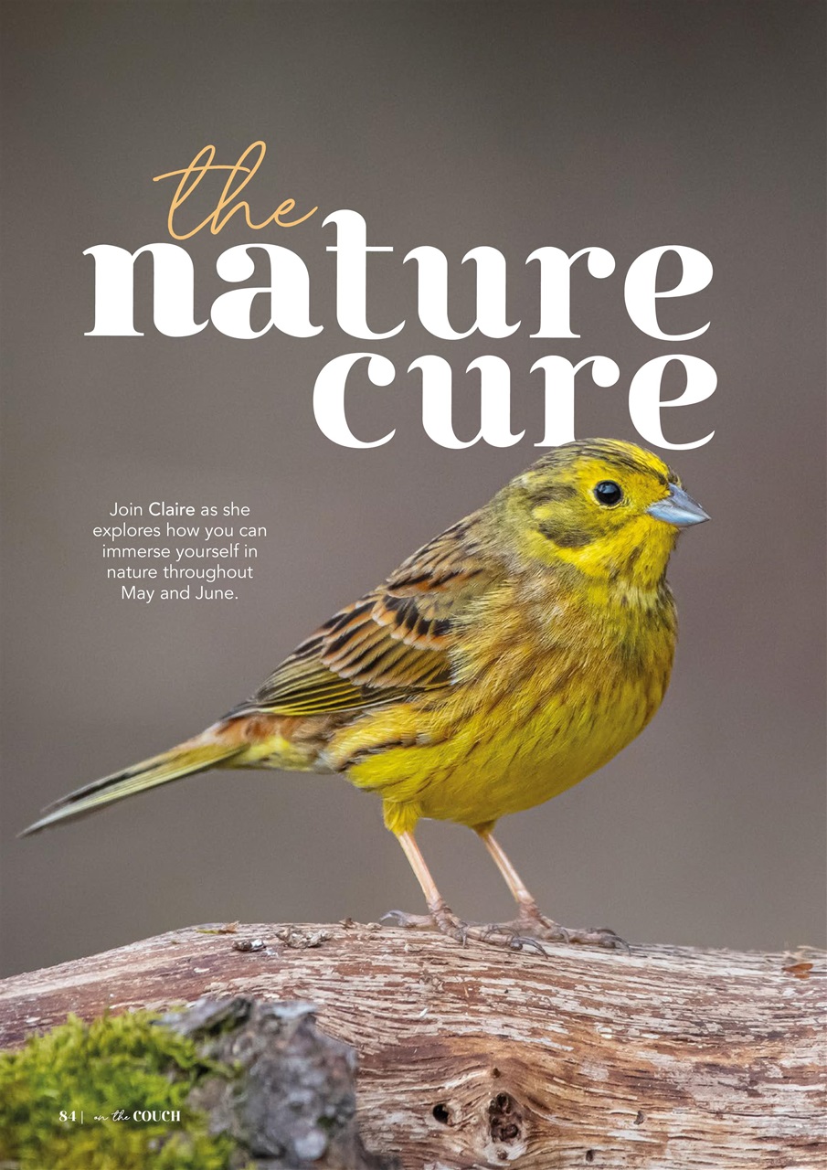 On the Couch Preview Pages