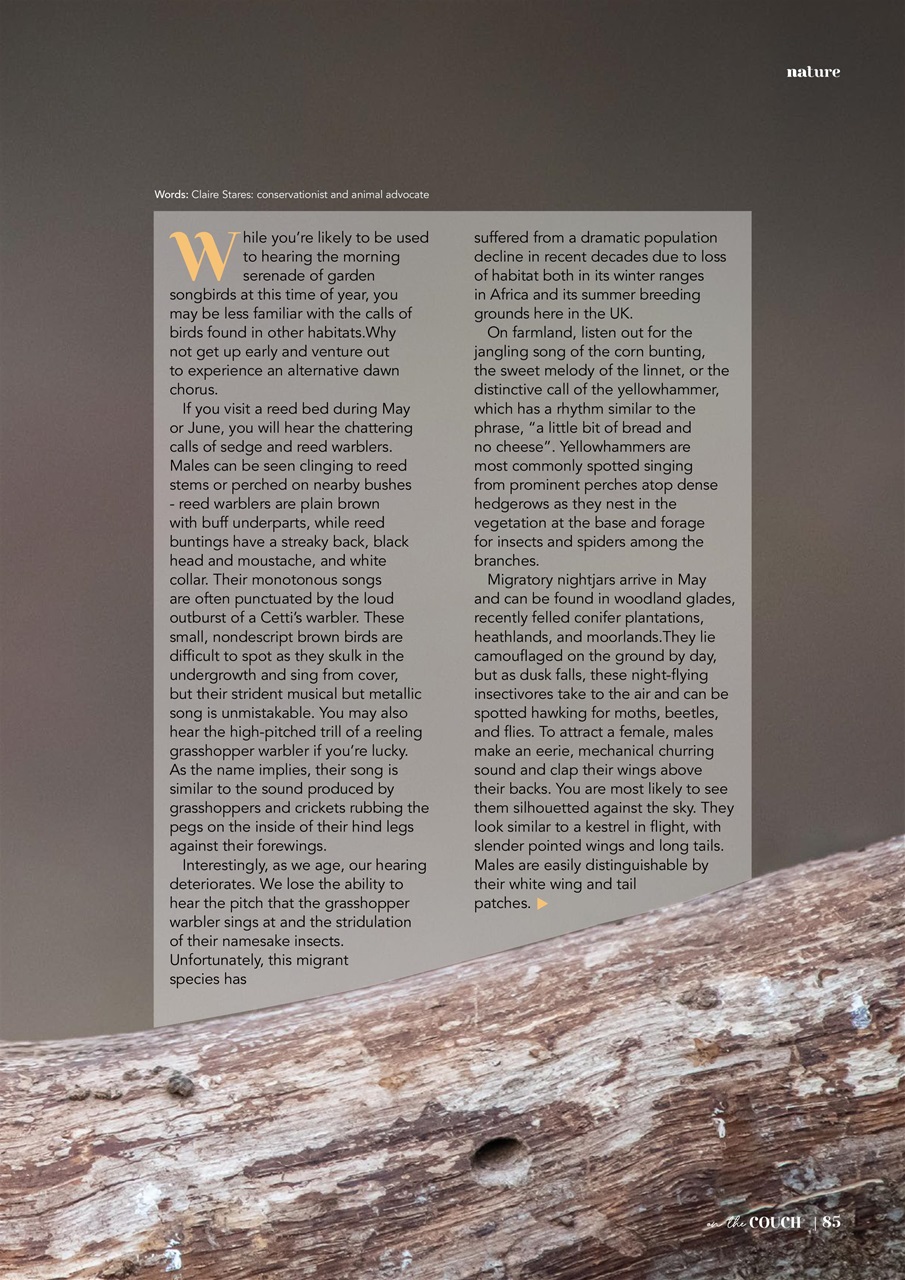 On the Couch Preview Pages