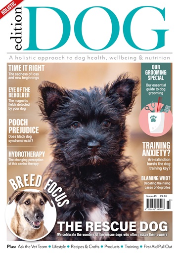 Edition Dog issue 