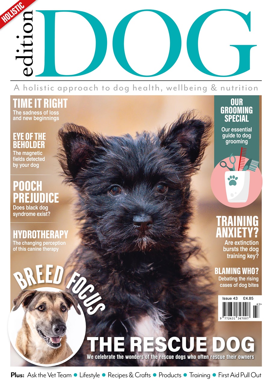 Edition Dog Preview Pages