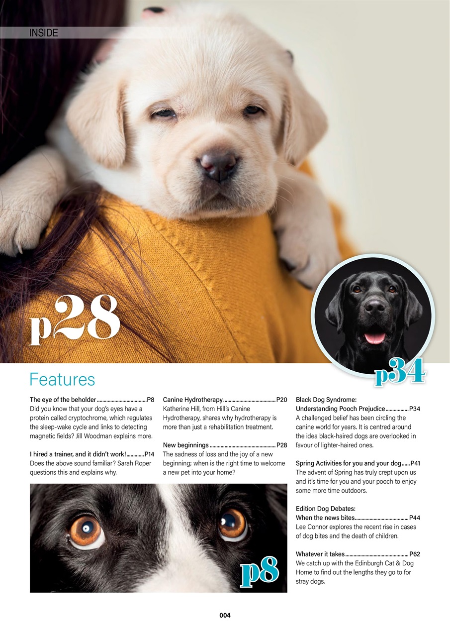 Edition Dog Preview Pages