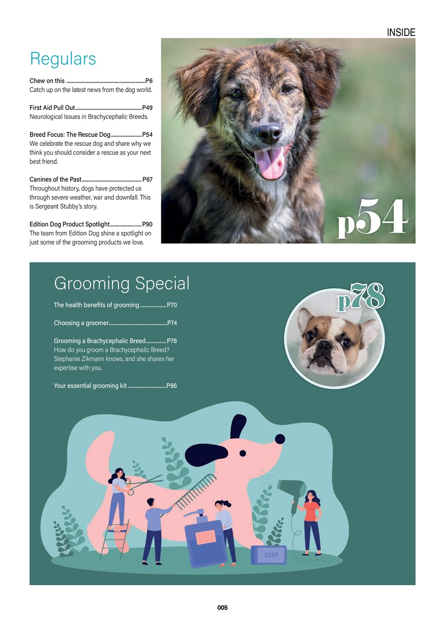 Edition Dog Preview Pages