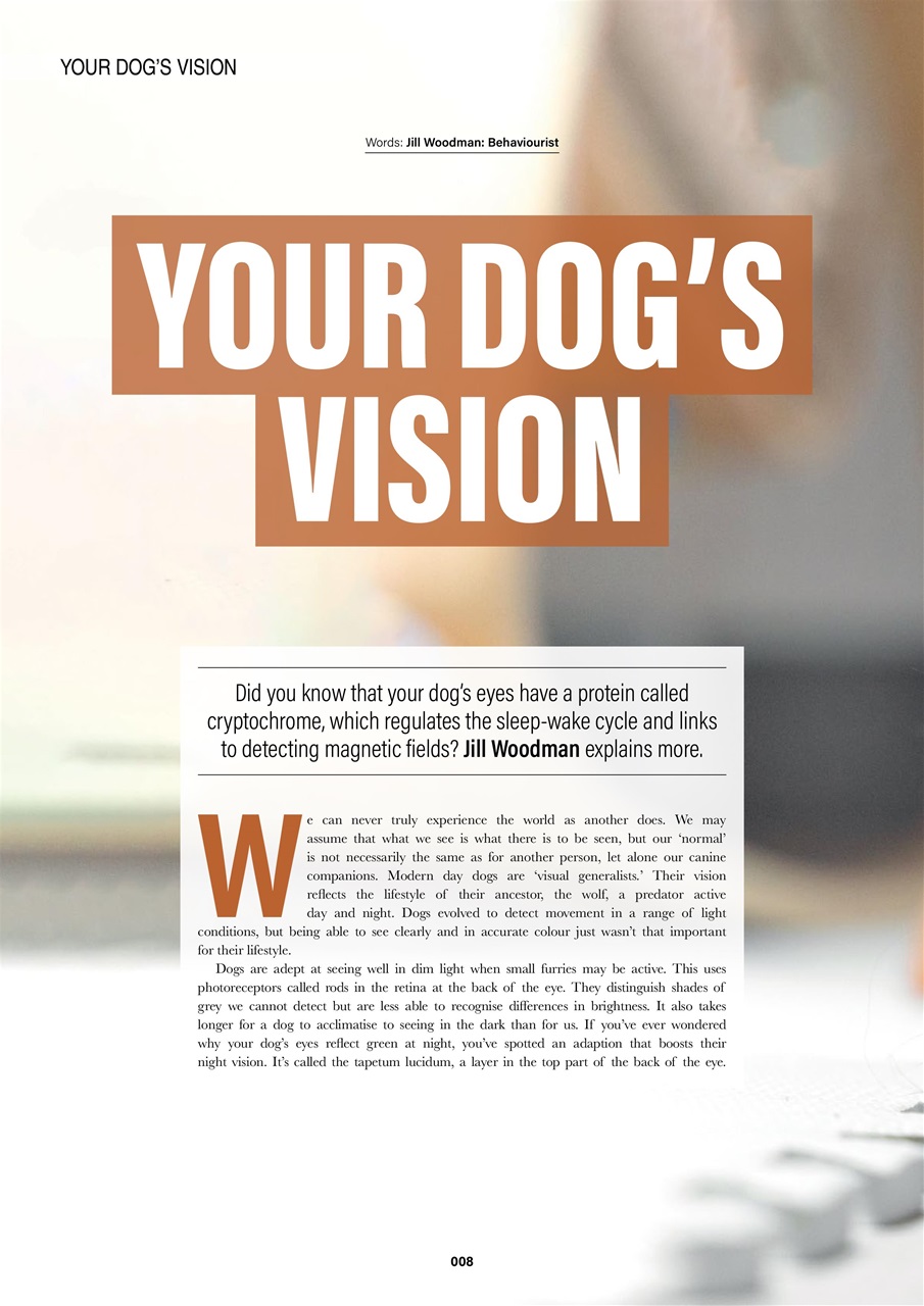 Edition Dog Preview Pages