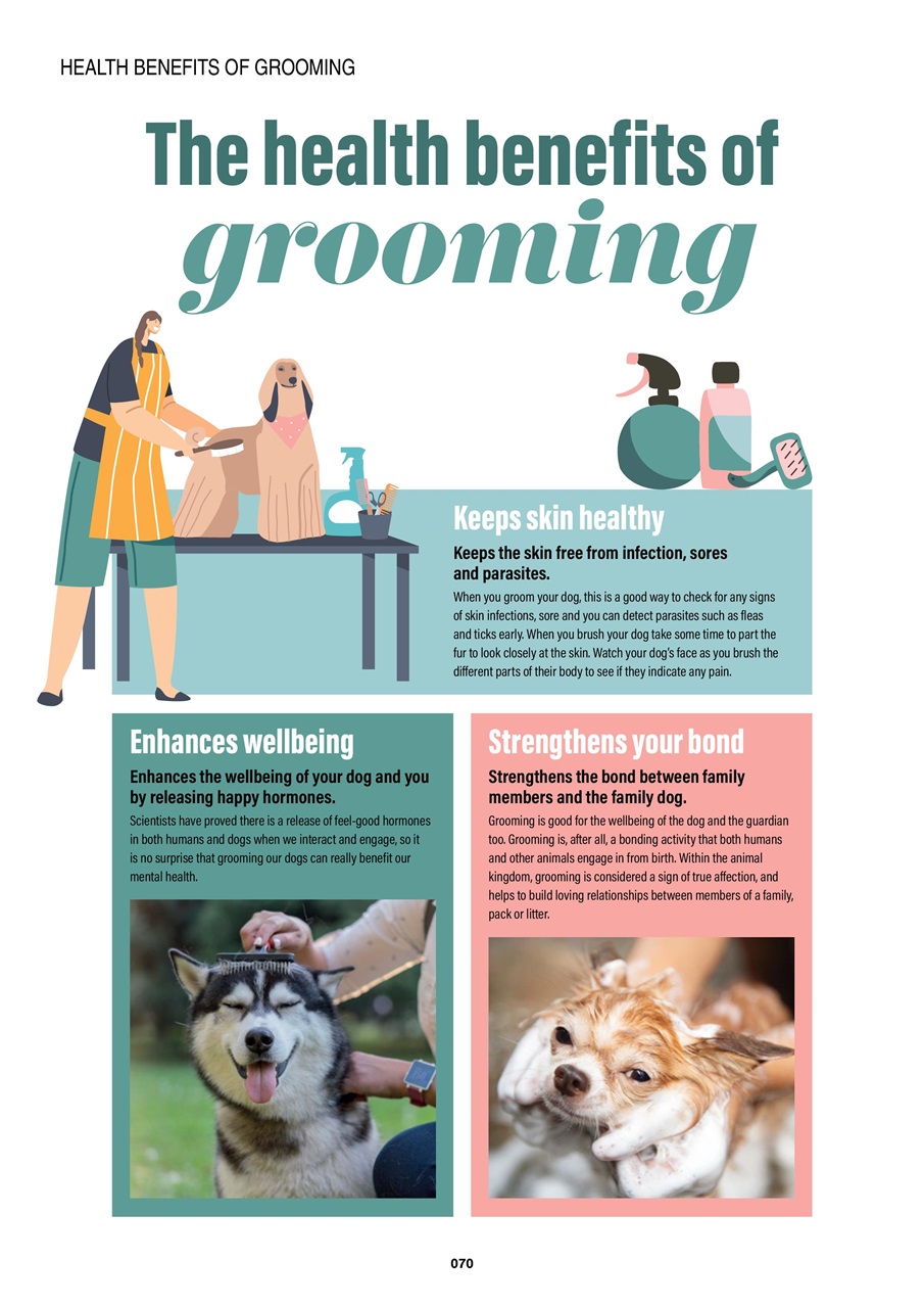 Edition Dog Preview Pages