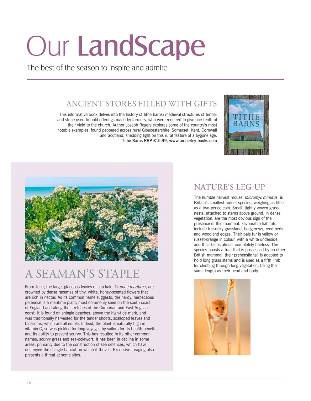 LandScape Preview Pages