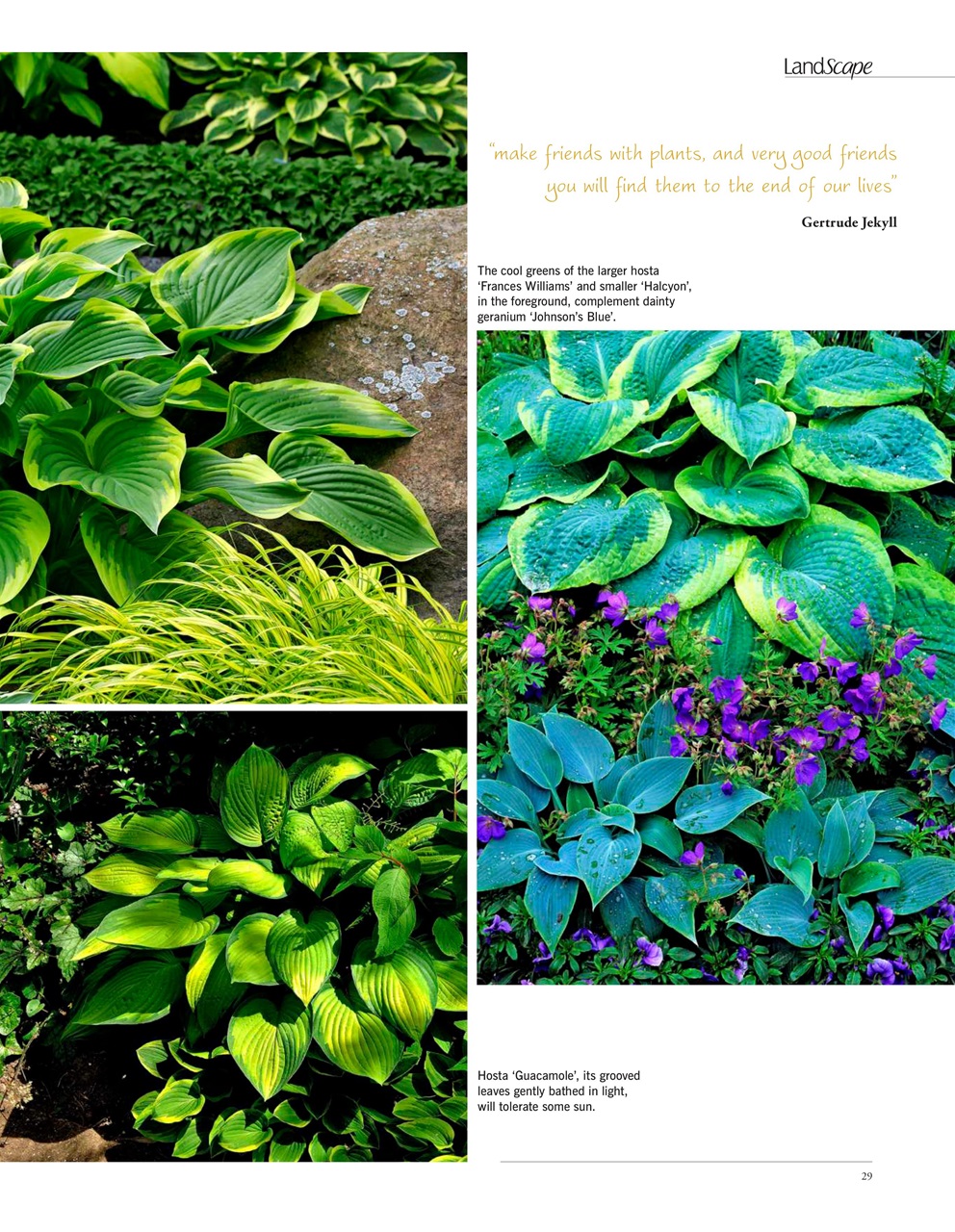 LandScape Preview Pages