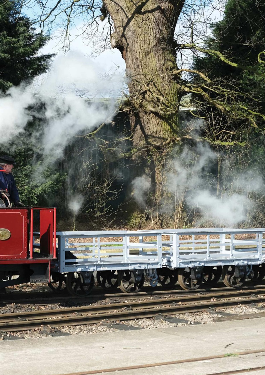 Narrow Gauge World Preview Pages