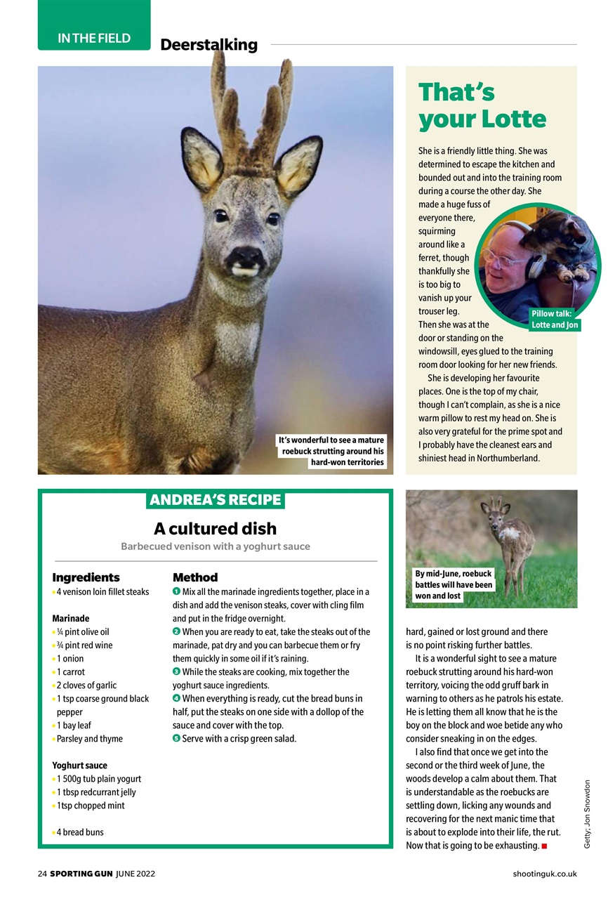 Sporting Gun Preview Pages