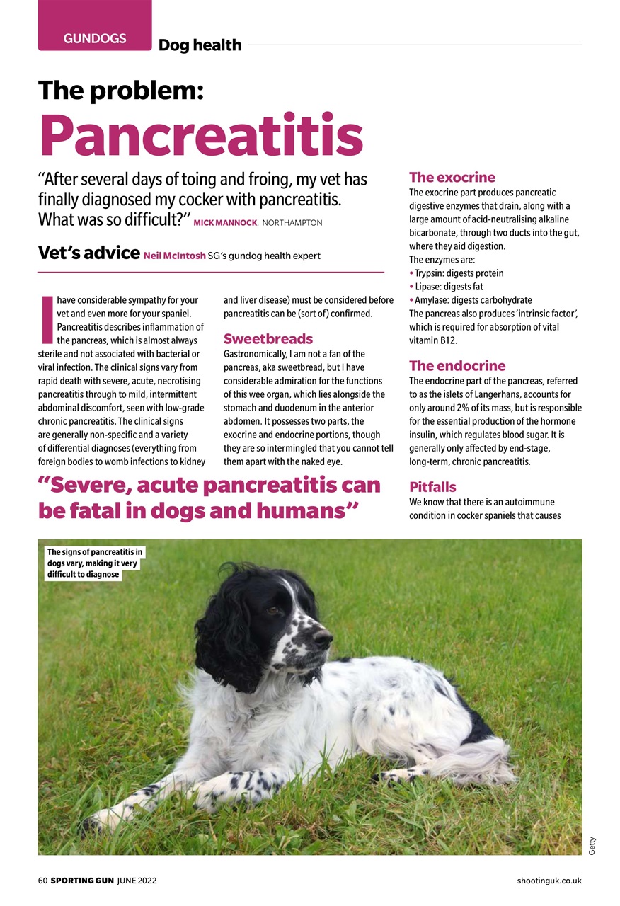 Sporting Gun Preview Pages