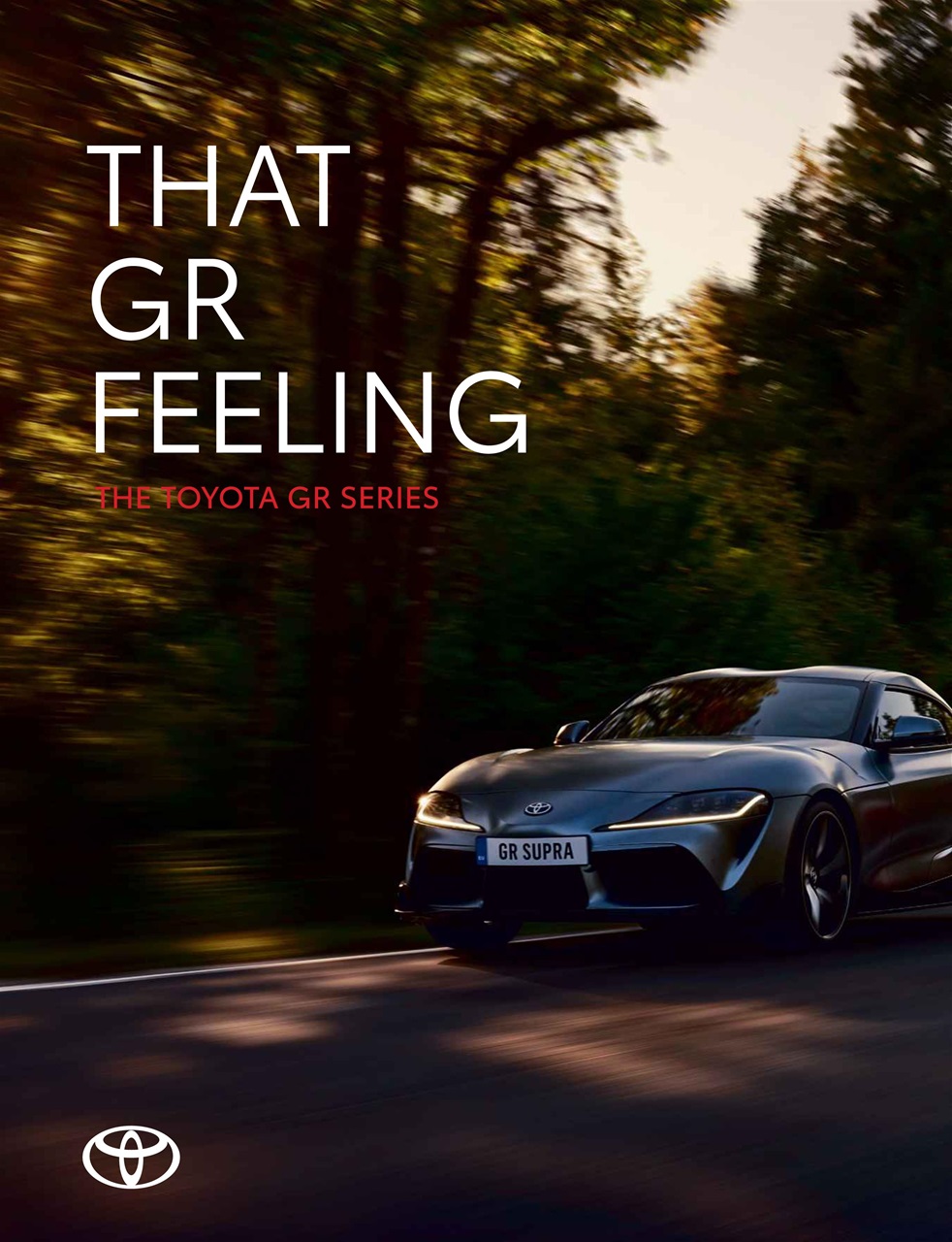 Auto Express Preview Pages