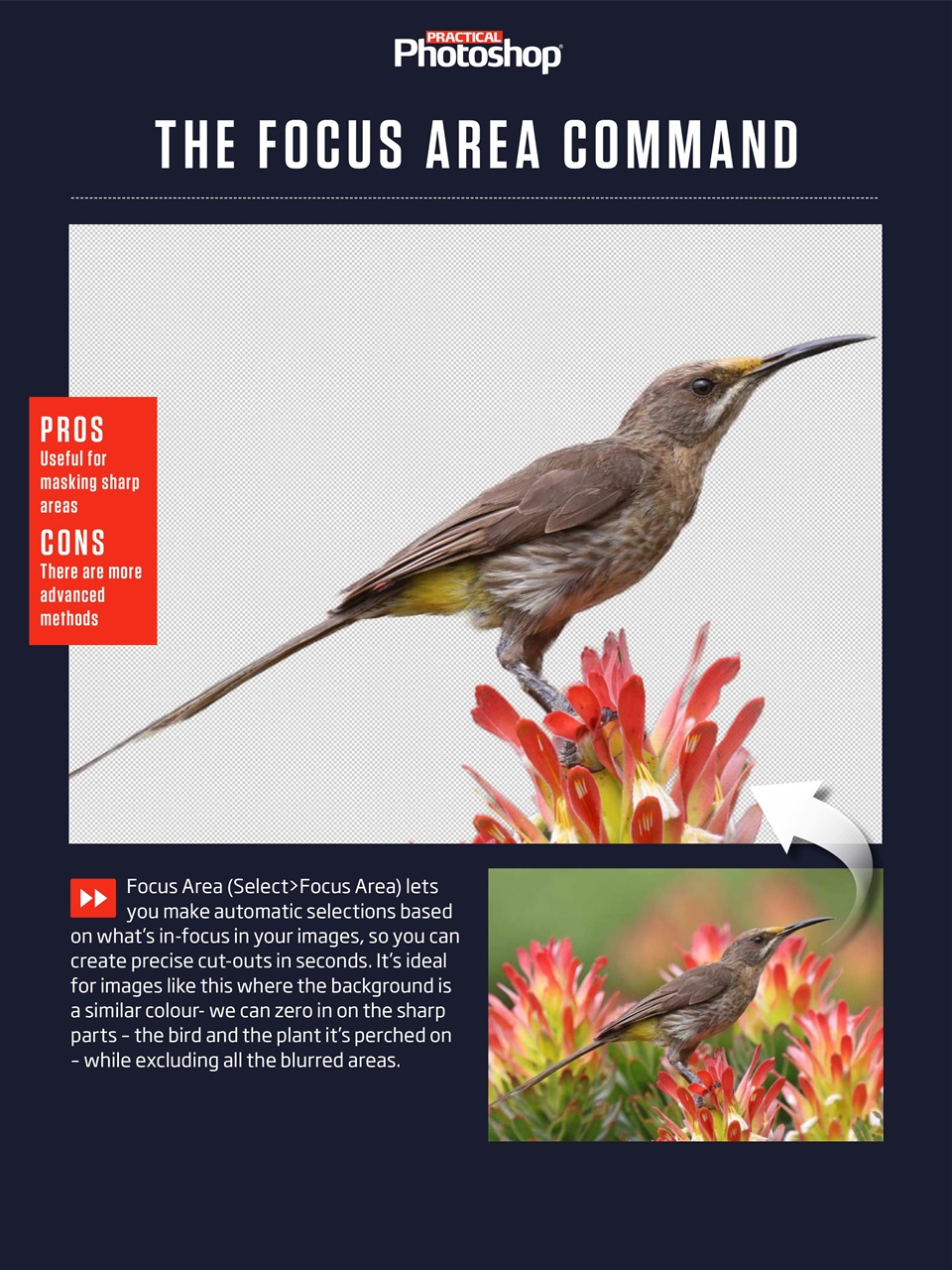 Practical Photoshop Preview Pages