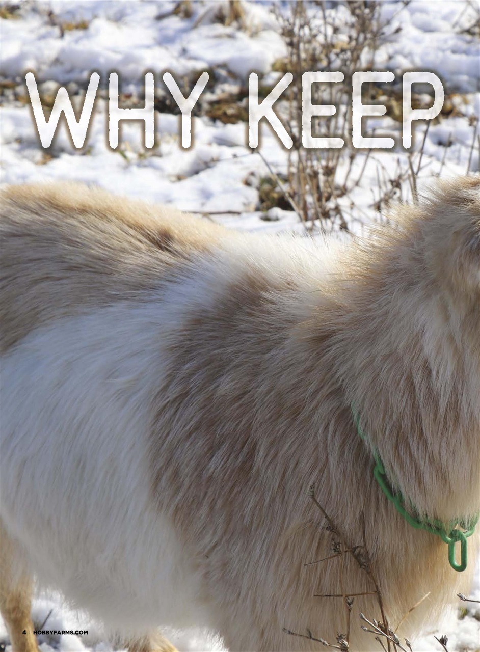 Hobby Farms Magazine Preview Pages