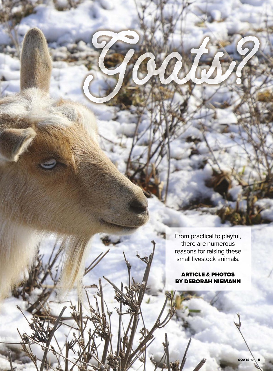 Hobby Farms Magazine Preview Pages