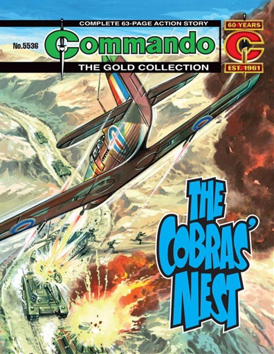Commando issue 