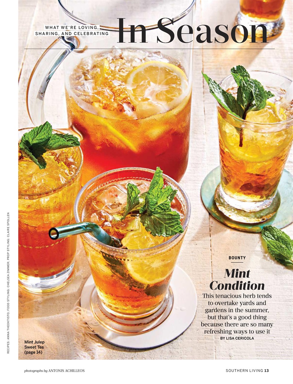 Southern Living Preview Pages