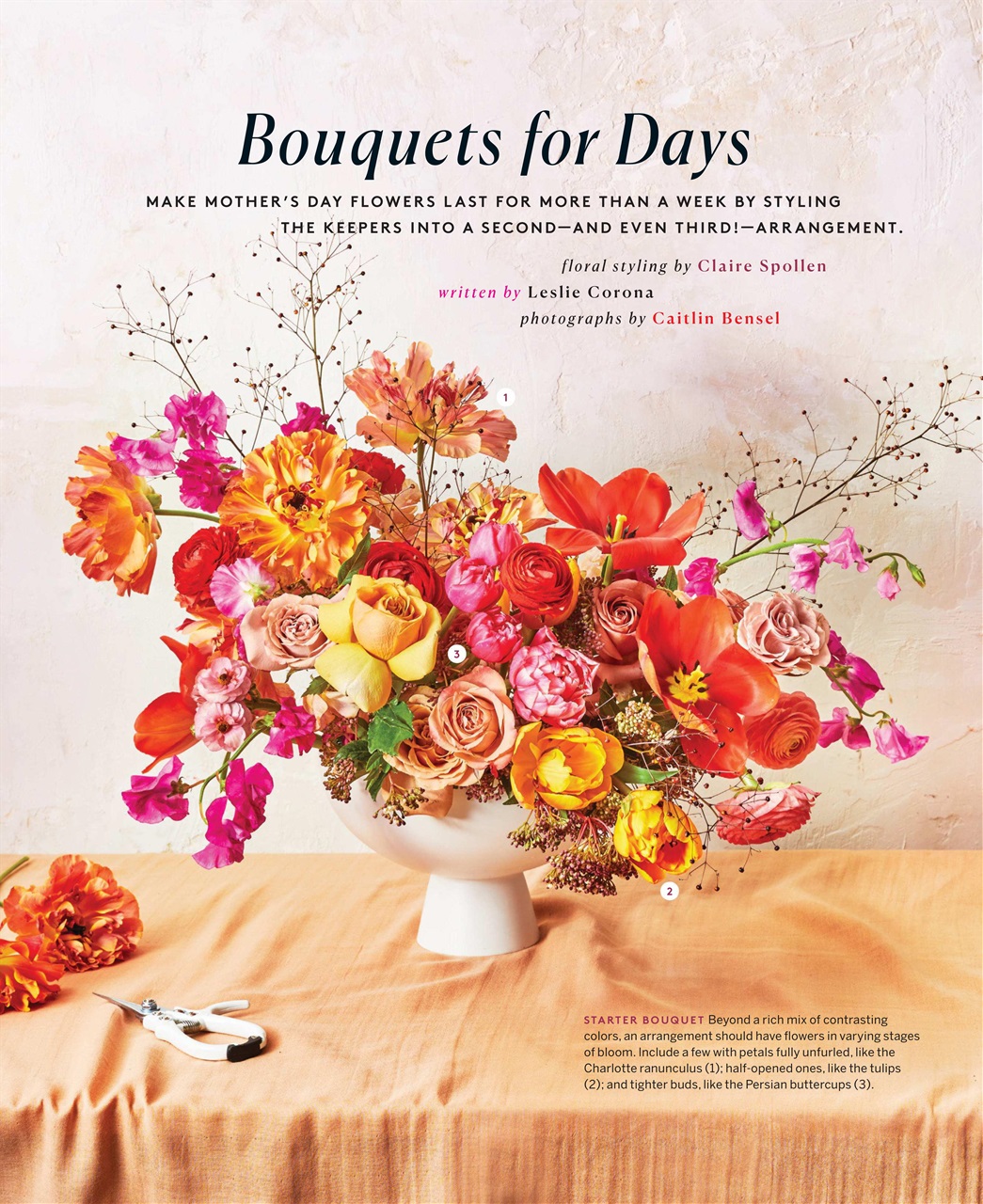 Real Simple Preview Pages