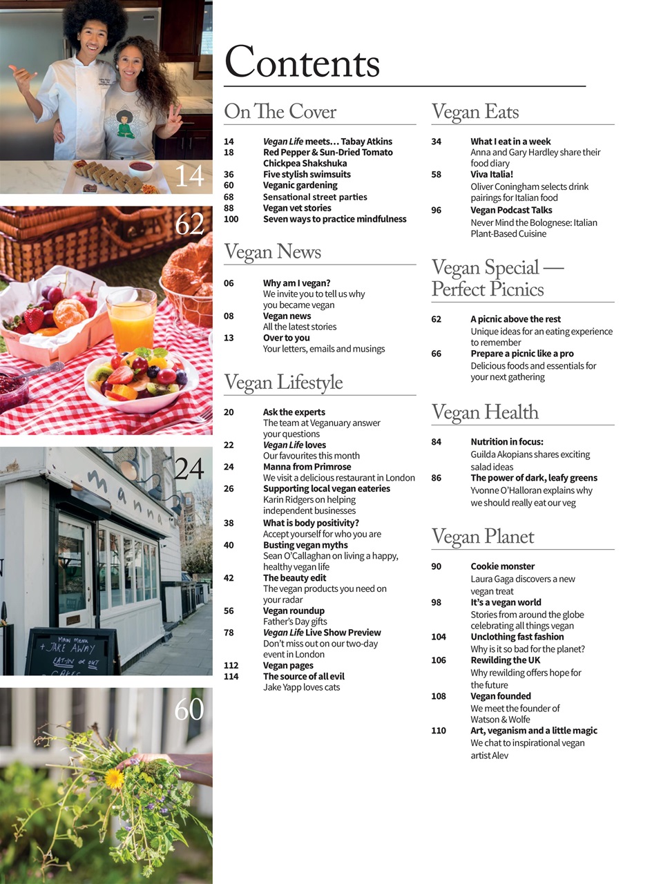 Vegan Life Preview Pages