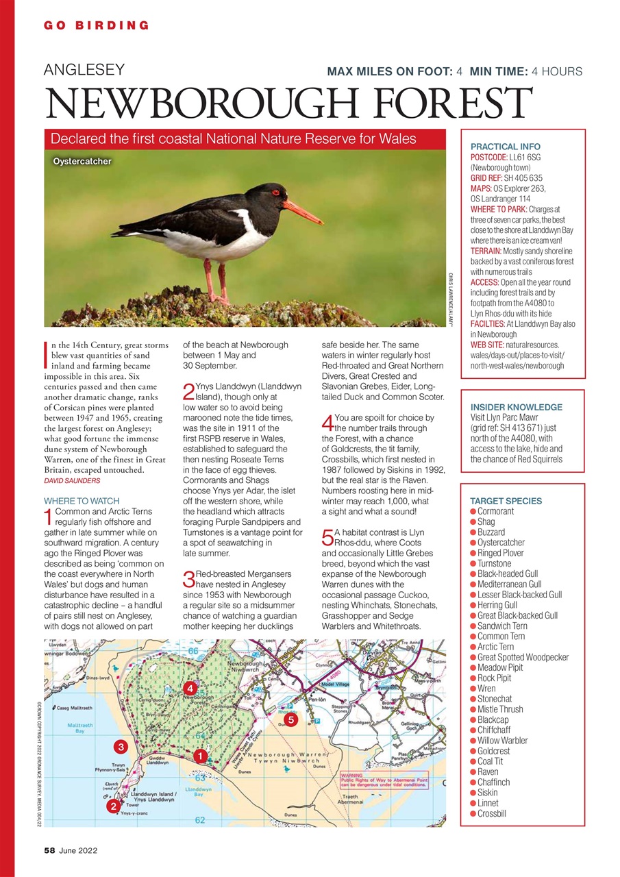 Bird Watching Preview Pages