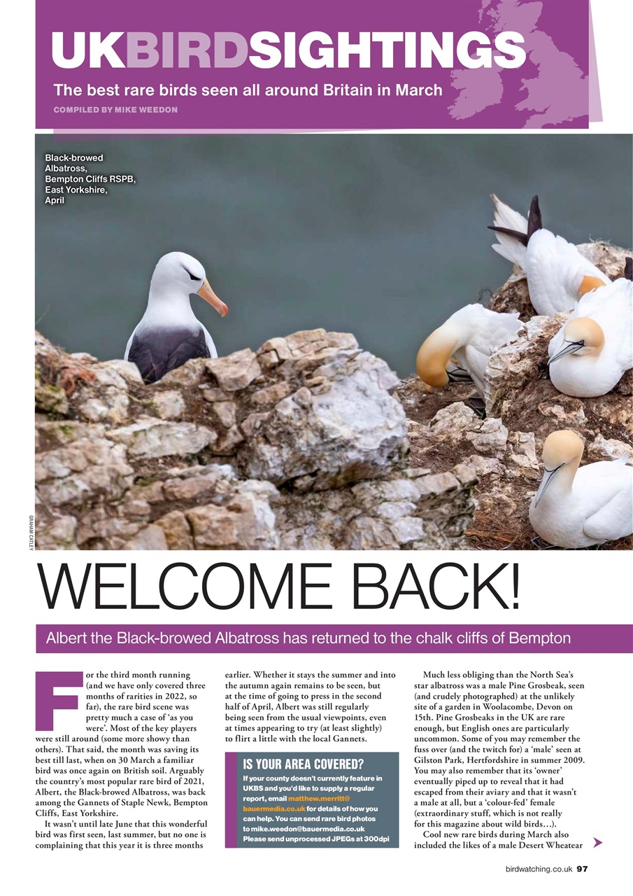 Bird Watching Preview Pages