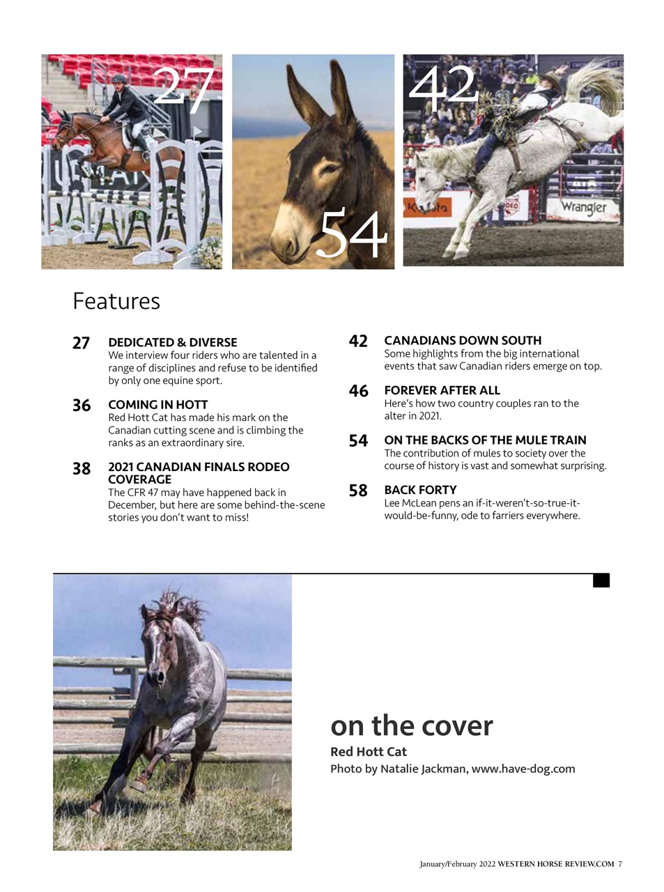 Western Horse Review Preview Pages