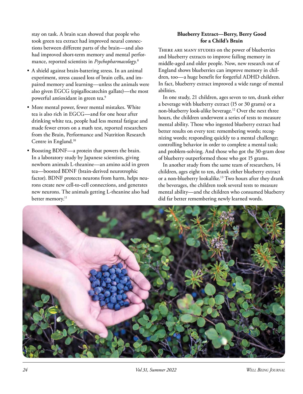 Well Being Journal Preview Pages