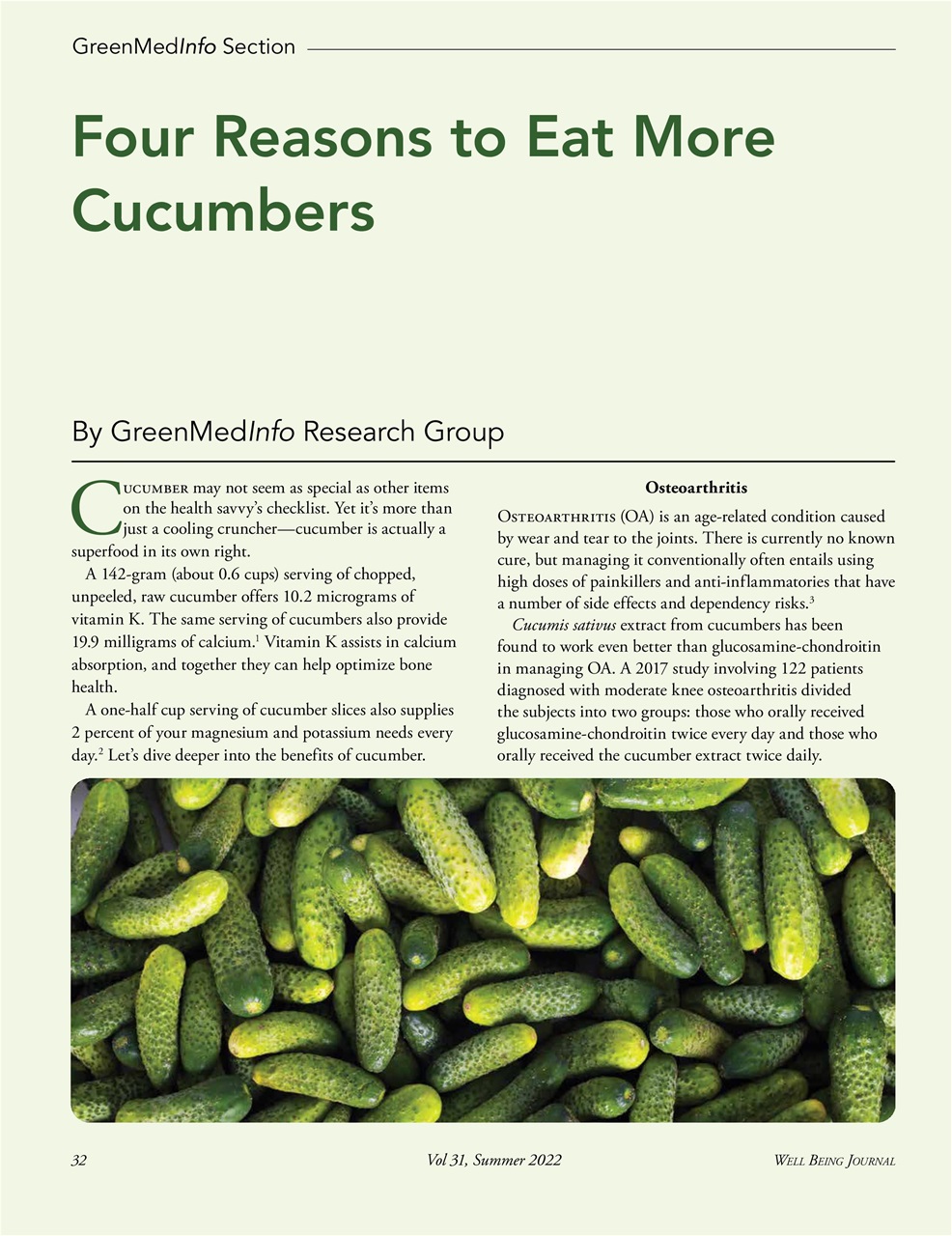 Well Being Journal Preview Pages