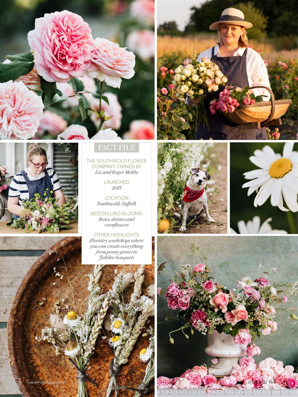 Country Living Preview Pages