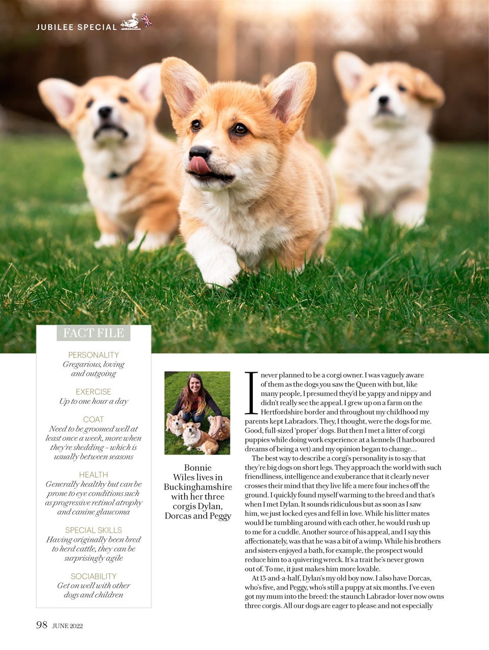Country Living Preview Pages