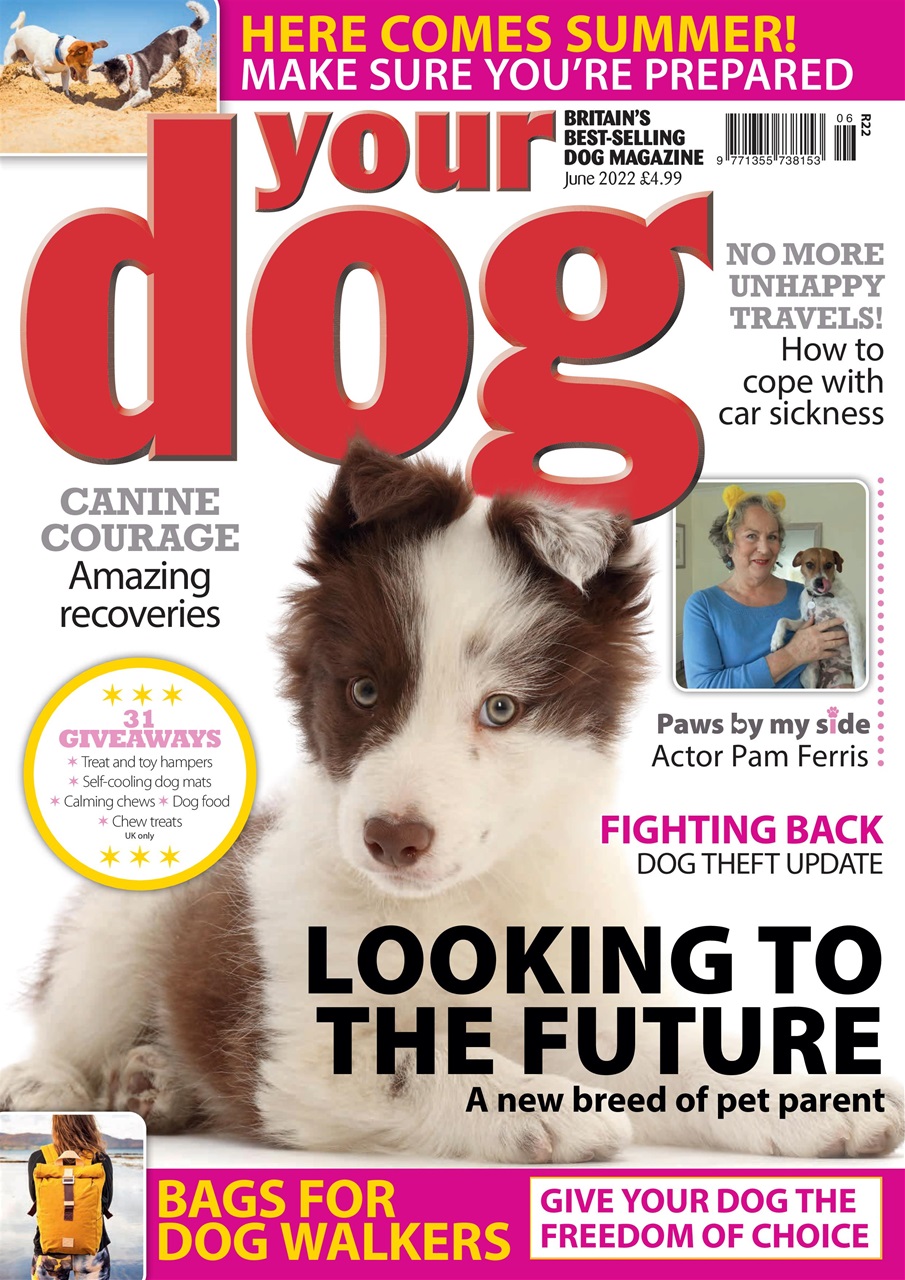 Your Dog Preview Pages
