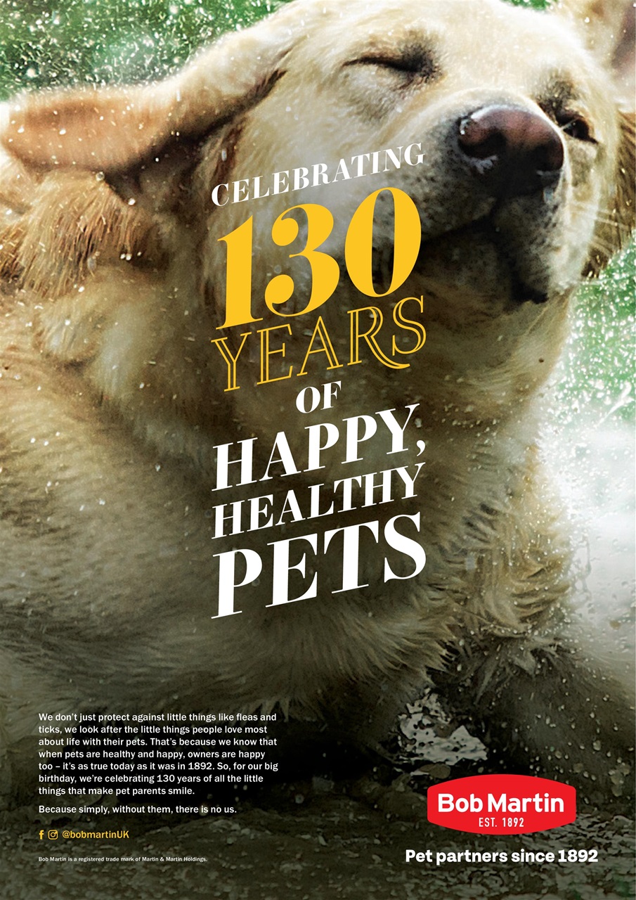 Your Dog Preview Pages