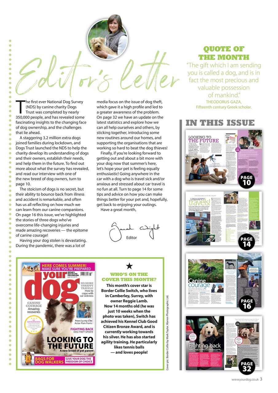 Your Dog Preview Pages