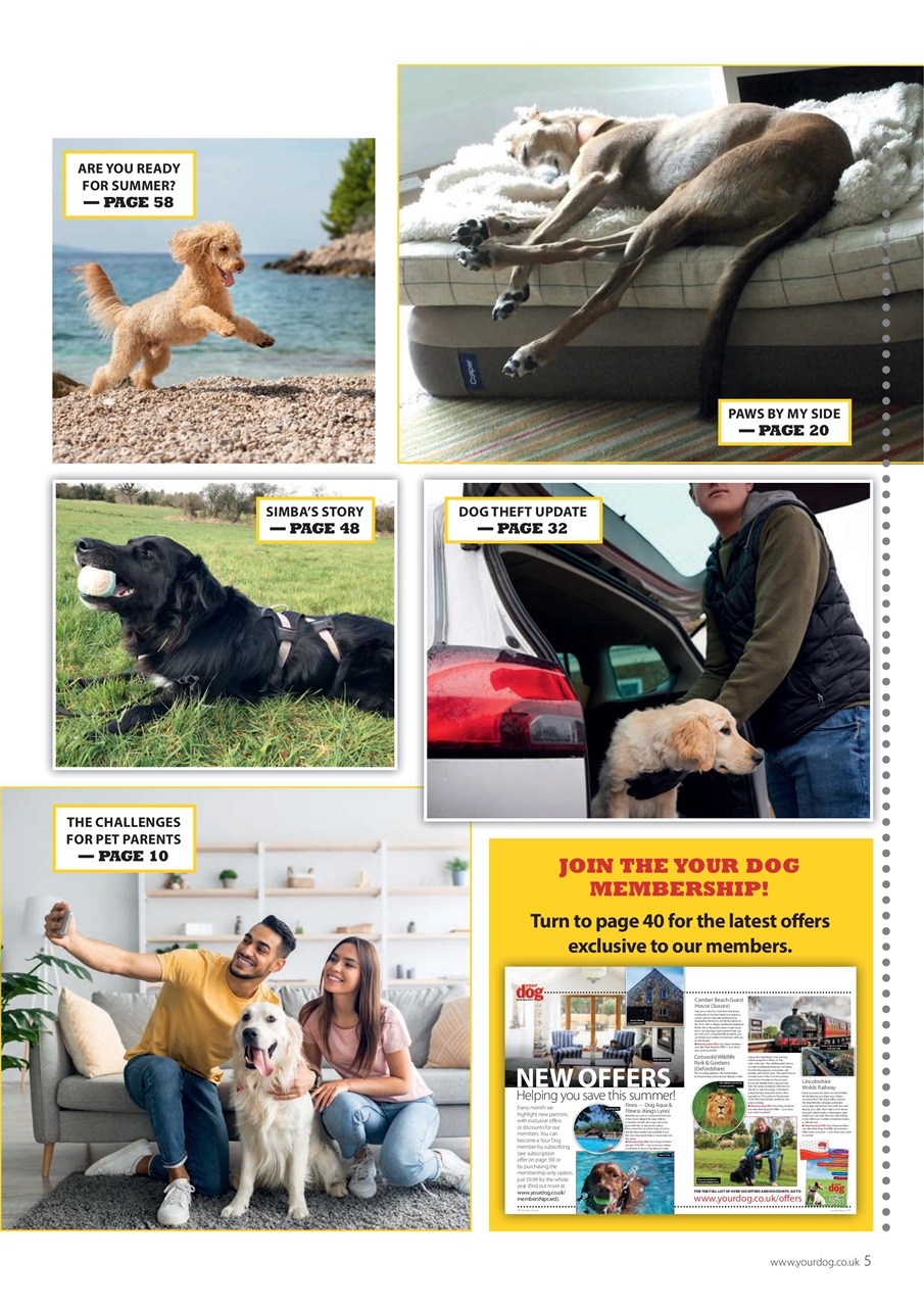 Your Dog Preview Pages
