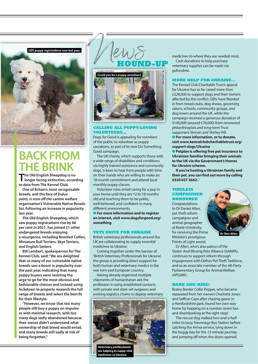 Your Dog Preview Pages