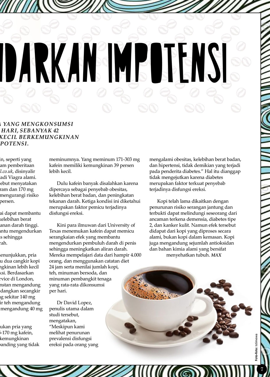 Max Magazine Preview Pages