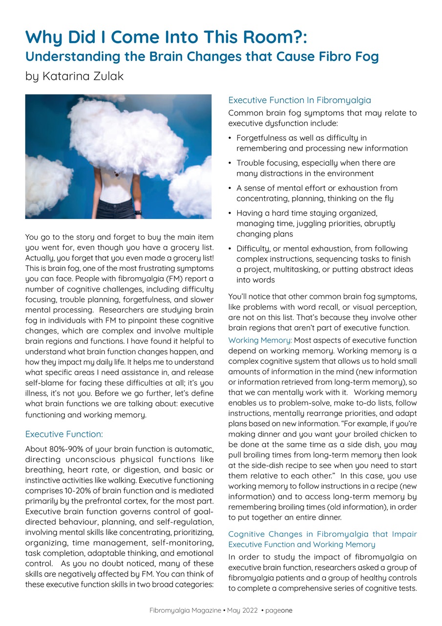 Fibromyalgia Magazine Preview Pages