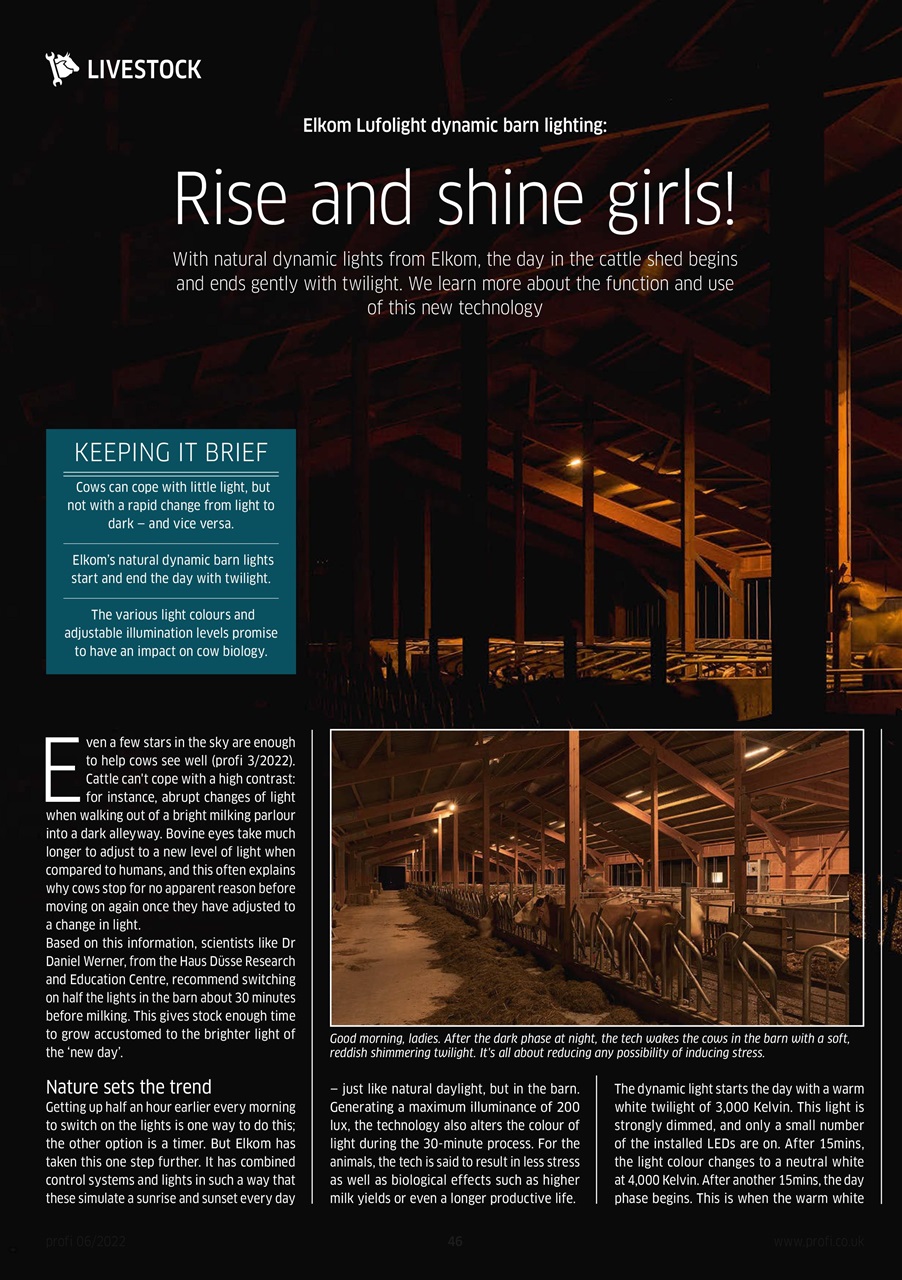 Profi International Preview Pages