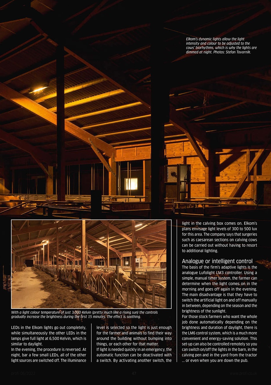 Profi International Preview Pages