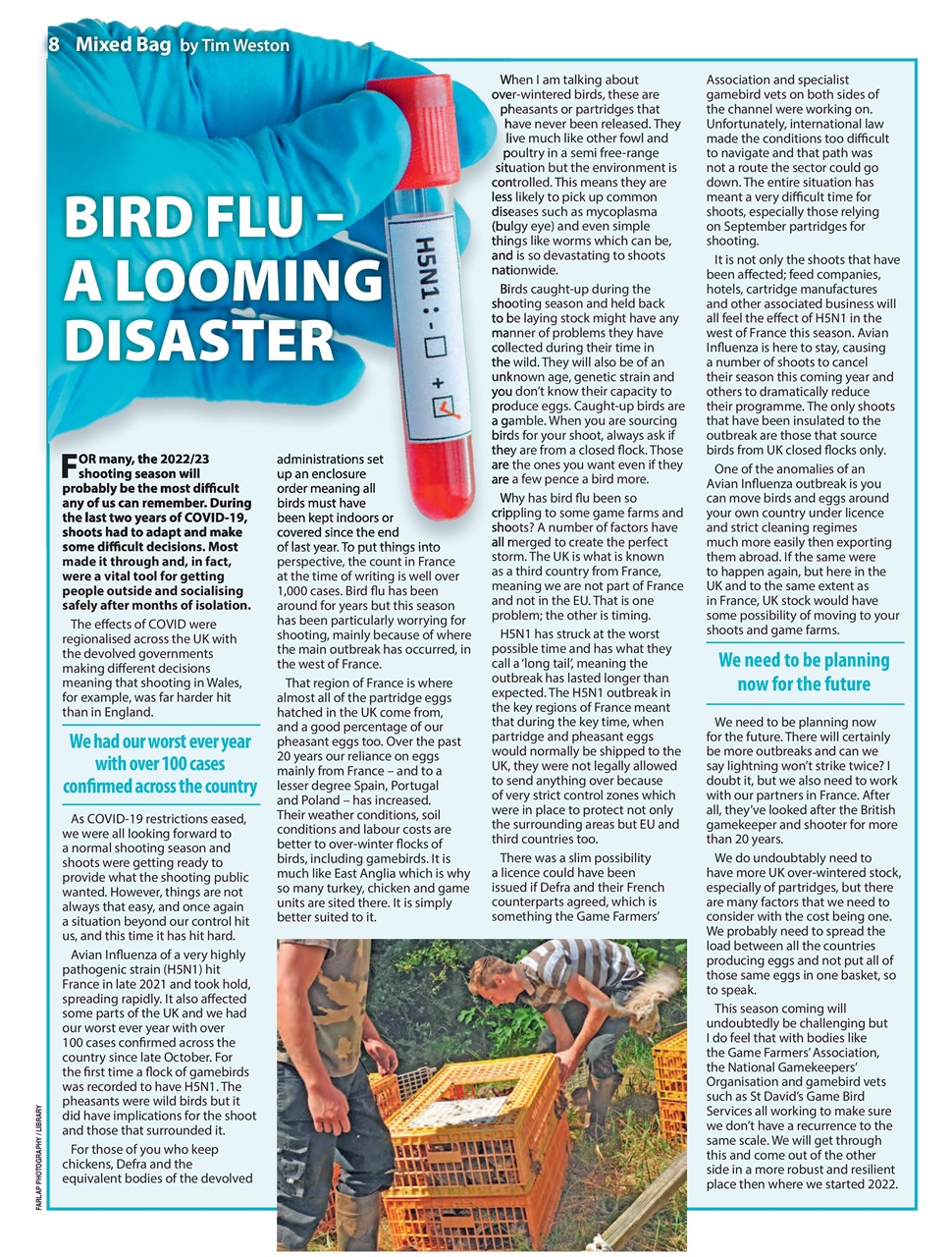 Countryman's Weekly Preview Pages